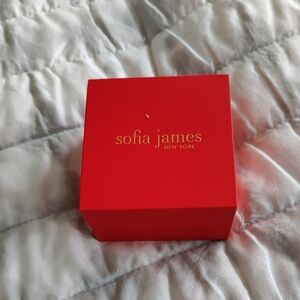 New!Sofia James fine silver-plated hoop earrings Premium Austrian Crystals